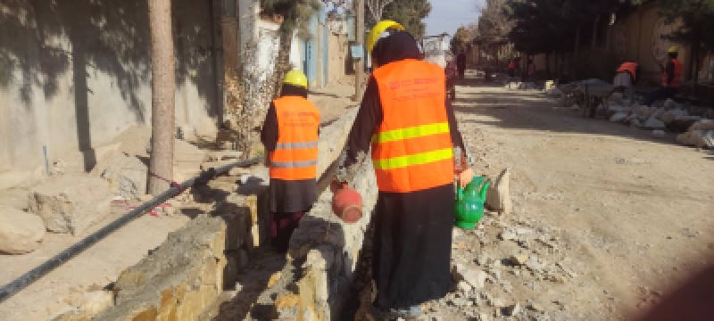 /uploads/images/gallery/medium_Curing Work by Female Workers, Lot3, Rehabilitation of Khalid Bin Walid Road, Mazar, EIIP Afghanistan.jpg